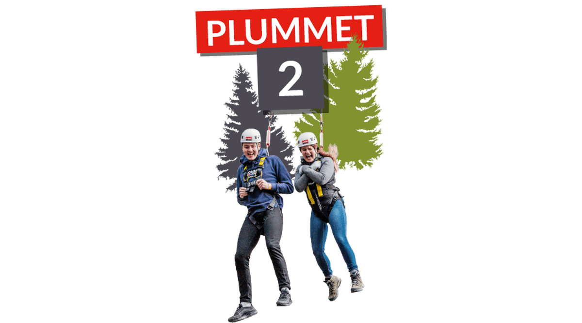 Zip World Fforest Lets Go Out