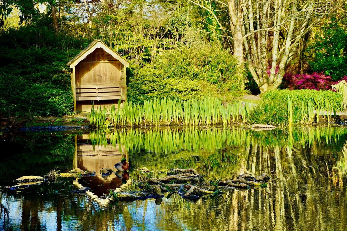 Gardens Gardens Lets Go Out