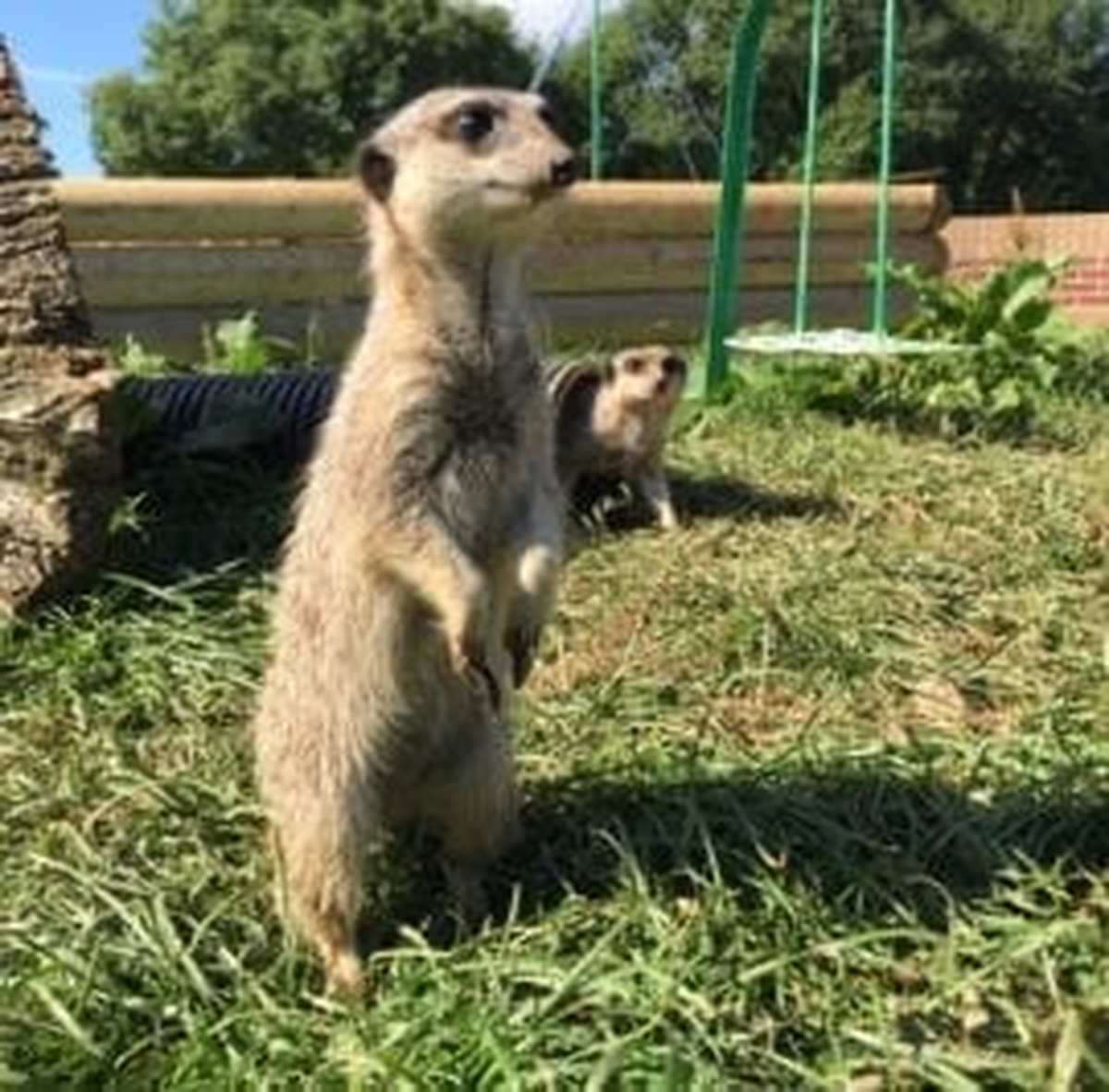 Woodlands Family Theme Park Lets Go Out