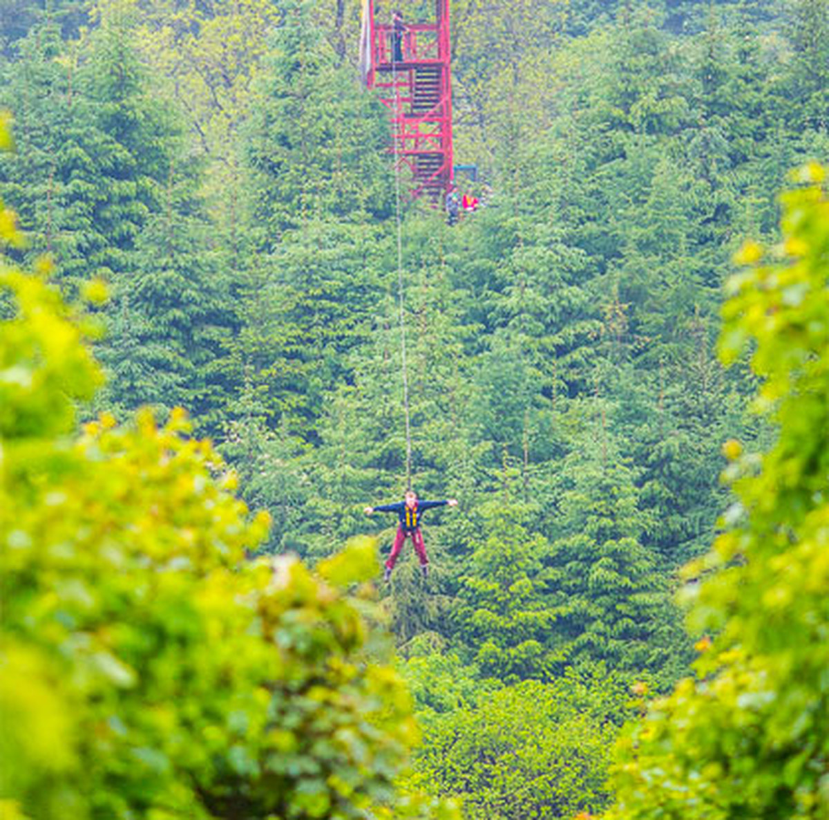 Zip Line Todds Leap Activity Centre Lets Go Out