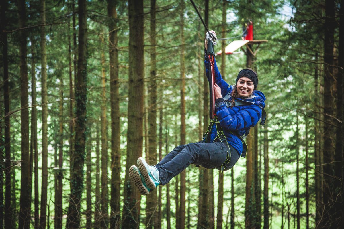 Zip World Fforest Lets Go Out