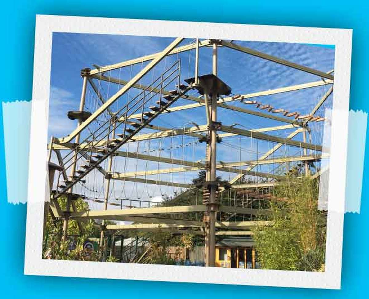 Planters Garden Centre Lets Go Out