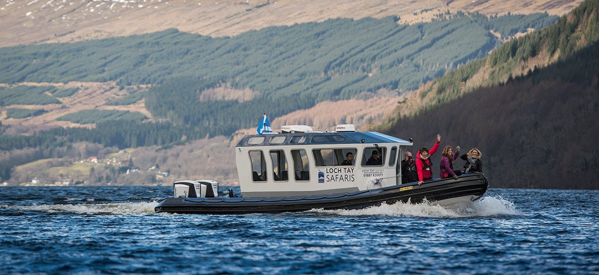 Boat Trip Loch Tay Safaris Lets Go Out